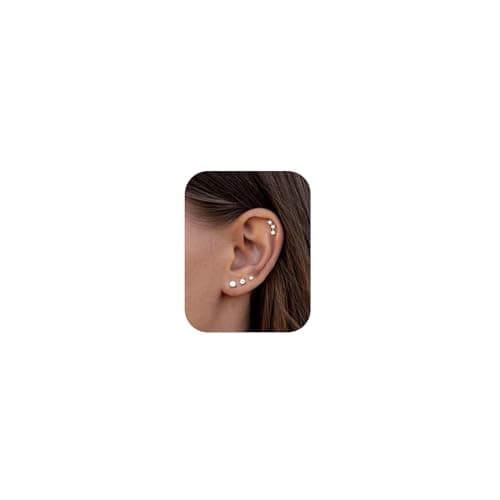 Adramata Boucle d'Oreille Argent 925 Femme Hypoallergène Pierreuses Piercings Oreille Tragus Helix Cartilage Femmes Bouc — Argent-SingleCZ