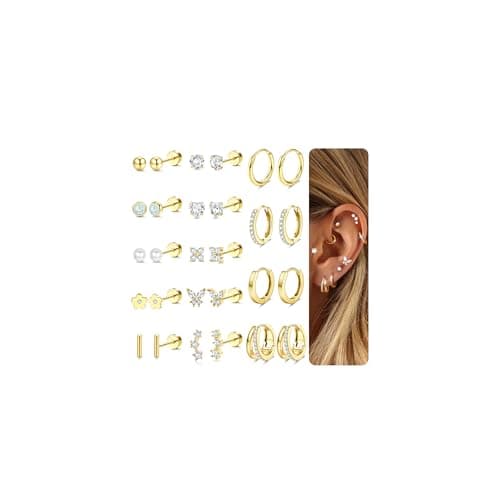 Adramata Boucles d'Oreilles Femme Or Argent Hypoallergéniques Boucle d'Oreille Acier Inoxydable Clous Petites Creste Pie — Or