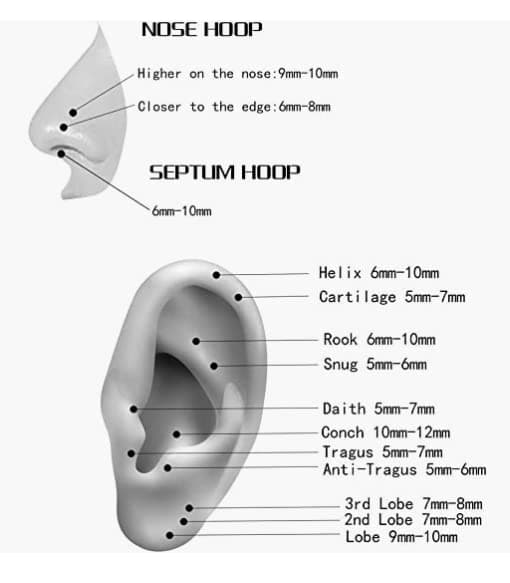 Adramata Piercing Bijoux Acier Inoxydable pour Nez et Oreille Élégant Accessoire de Mode Recyclé Größe Standard