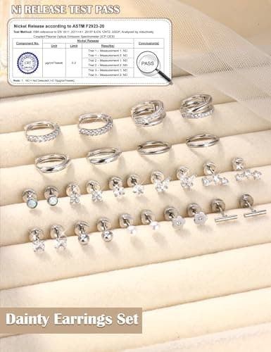 Adramata Boucles d'Oreilles Femme Or Argent Hypoallergéniques Boucle d'Oreille Acier Inoxydable Clous Petites Creste Pie