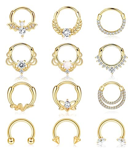 Adramata - Nez Anneaux Piercing pour Femmes | Aç smellurgical 12pcs 16G Tragus Conch Helix Septum Daith Boucles d'oreill