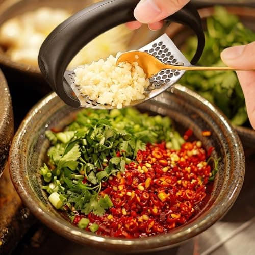 Presse-ail inoxydable nouveau style pour cuisine, ustensile manuel portable des ménagers, écraser l'ail facilement (2 pi