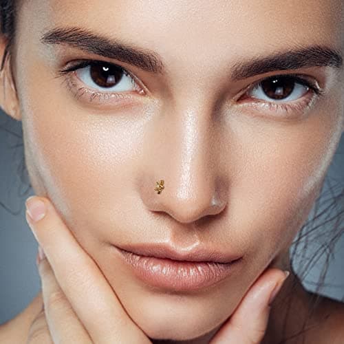 Adramata 15 Pièces Piercings au Nez pour Femme et Homme en Acier Chirurgical et Vis Serpent Fleurbijoux Or Argent
