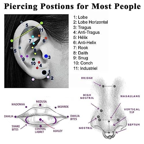 Adramata Titane Piercings Sans Fil Medusa Monroe 16G 20G Nez Argent Helix Tragus Standard 100
