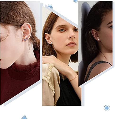 Adramata 10 Paires Boucles d'Oreilles Acier Inoxydable Étoile Cubique Zircone Tragus Barbell Femmes Recycled Claim Stand