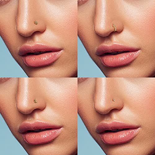Adramata 15 Pcs Piercing Nez en Acier Chirurgical pour Femme et Homme - L/Vis en Forme de Serpent | Fleur Clous de Nez A